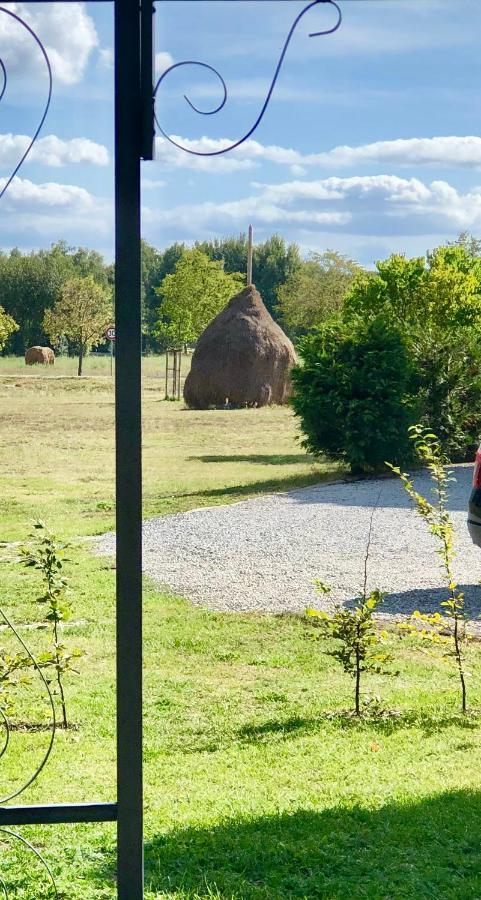 Appartamento Ferienapartments Spreewaldwiesen *